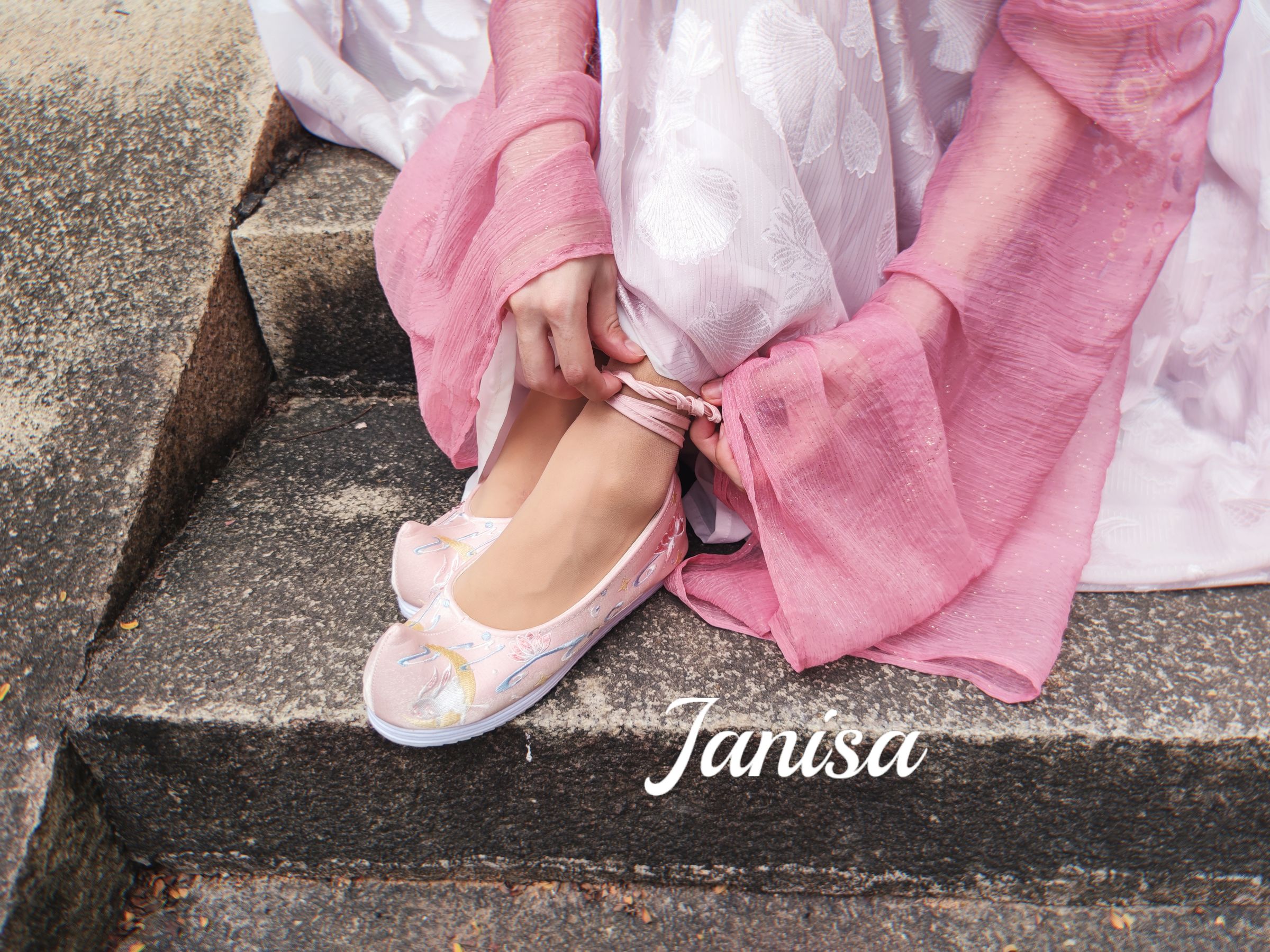 Janisa - 云想衣裳 