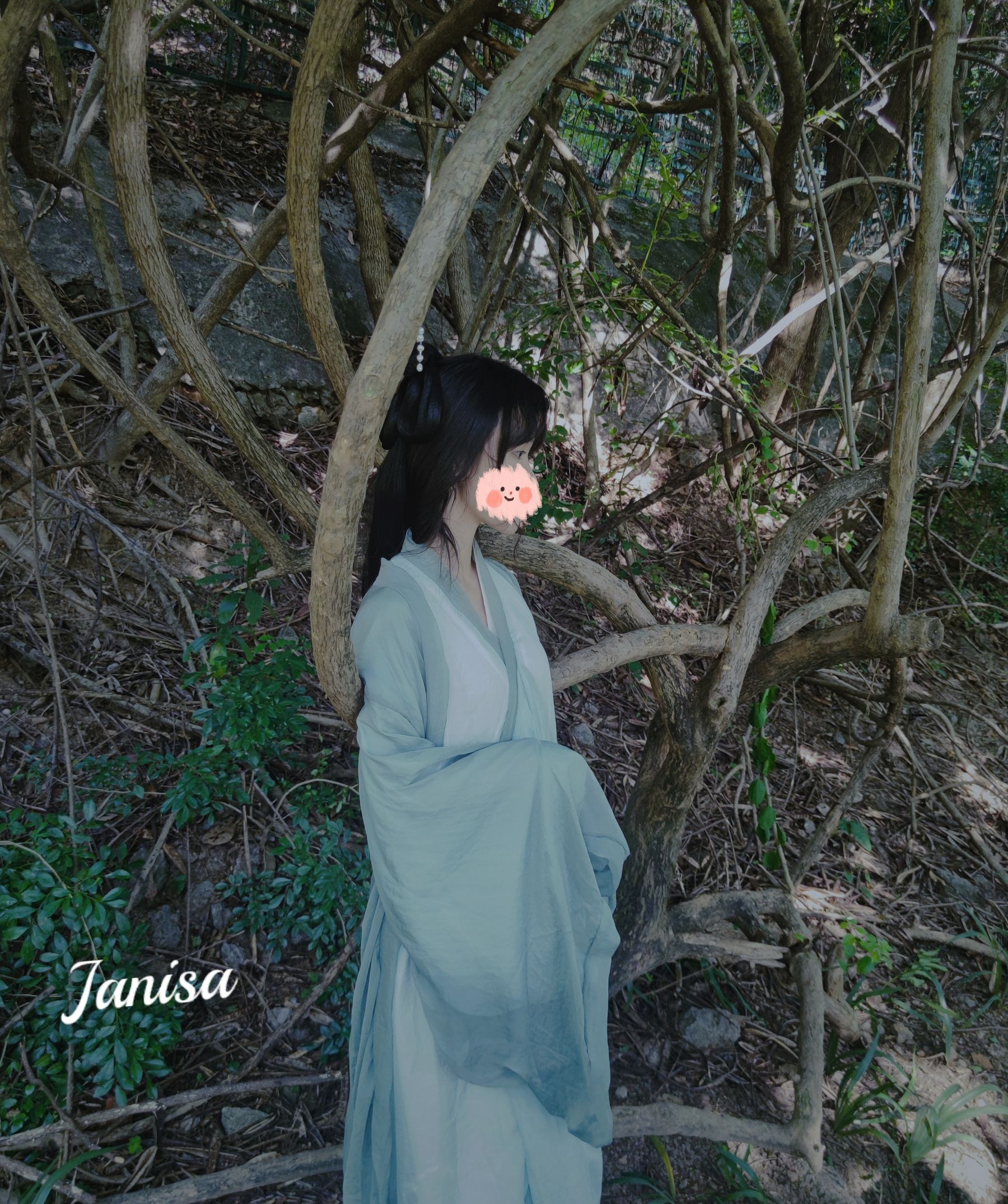 Janisa - 一曲广陵散 