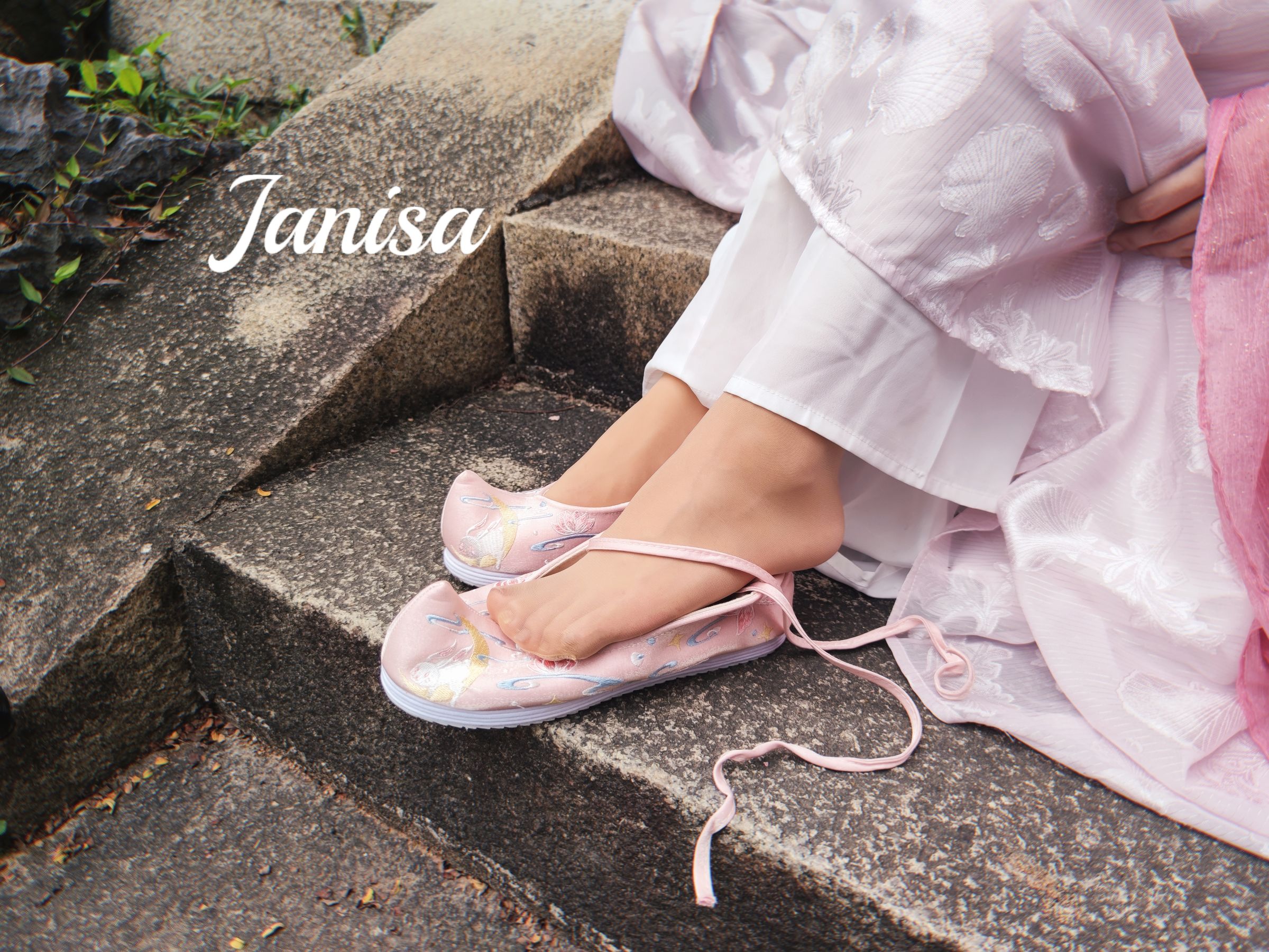 Janisa - 云想衣裳 