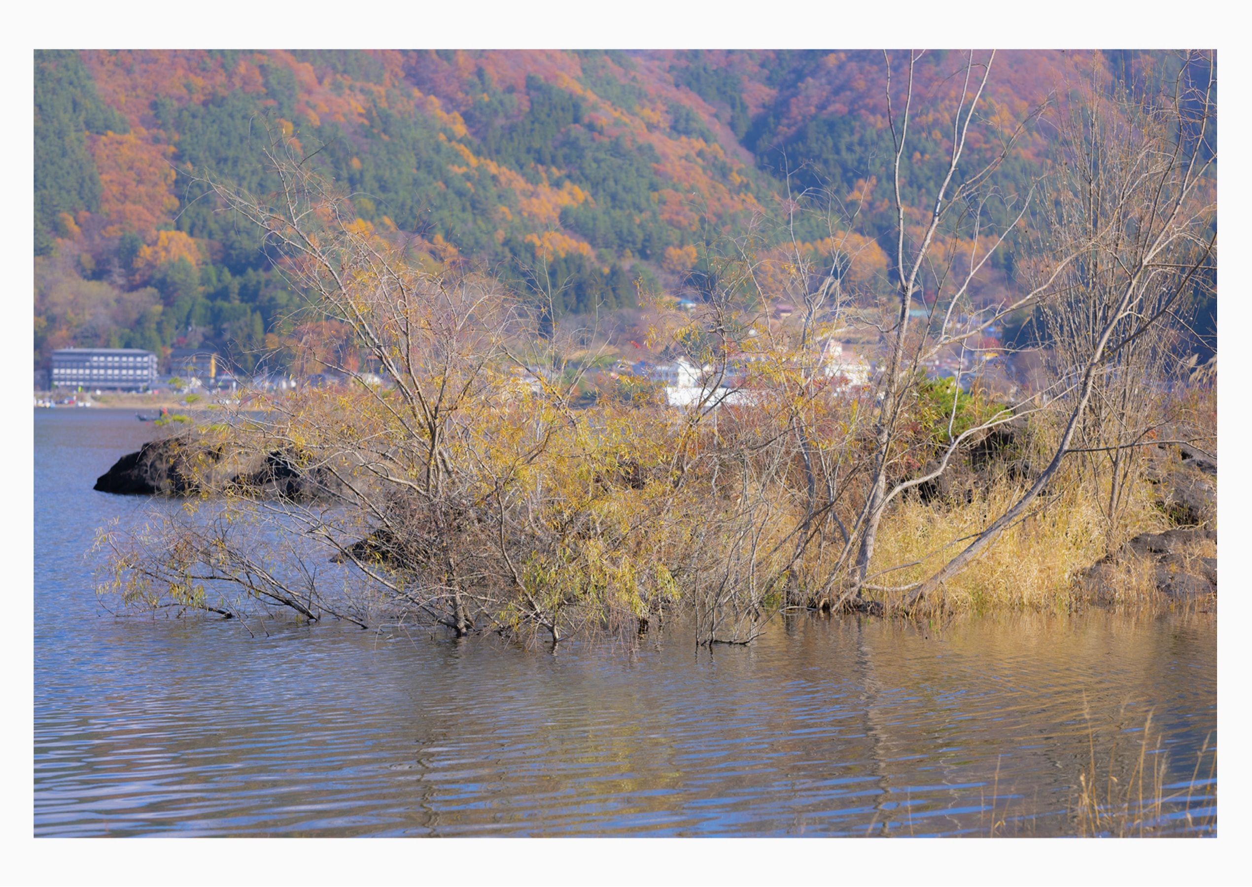 冨永ほのか 逢瀬、重ねて PRESTIGE PHOTOGENICS