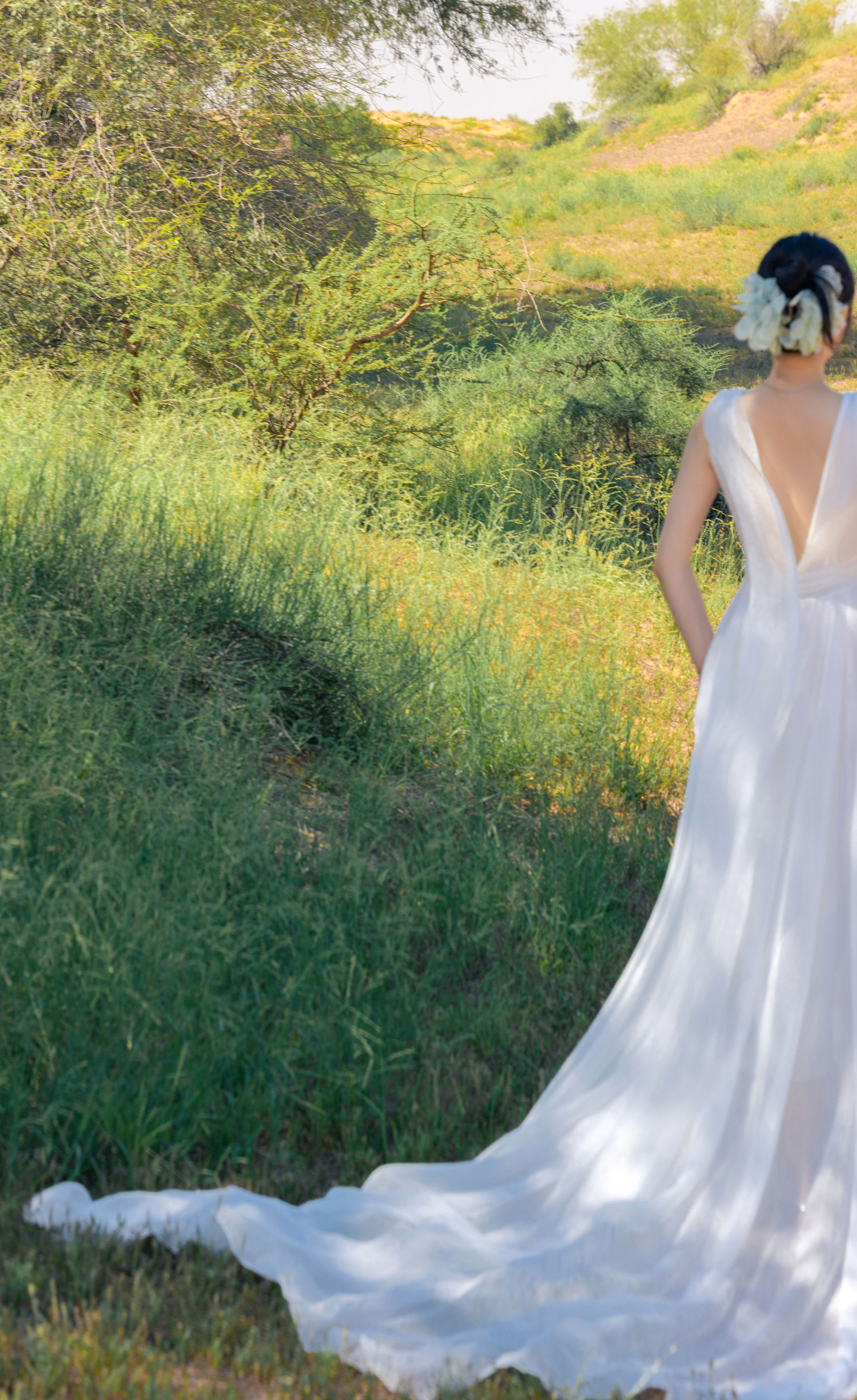 鱼子酱 沙漠之花写真