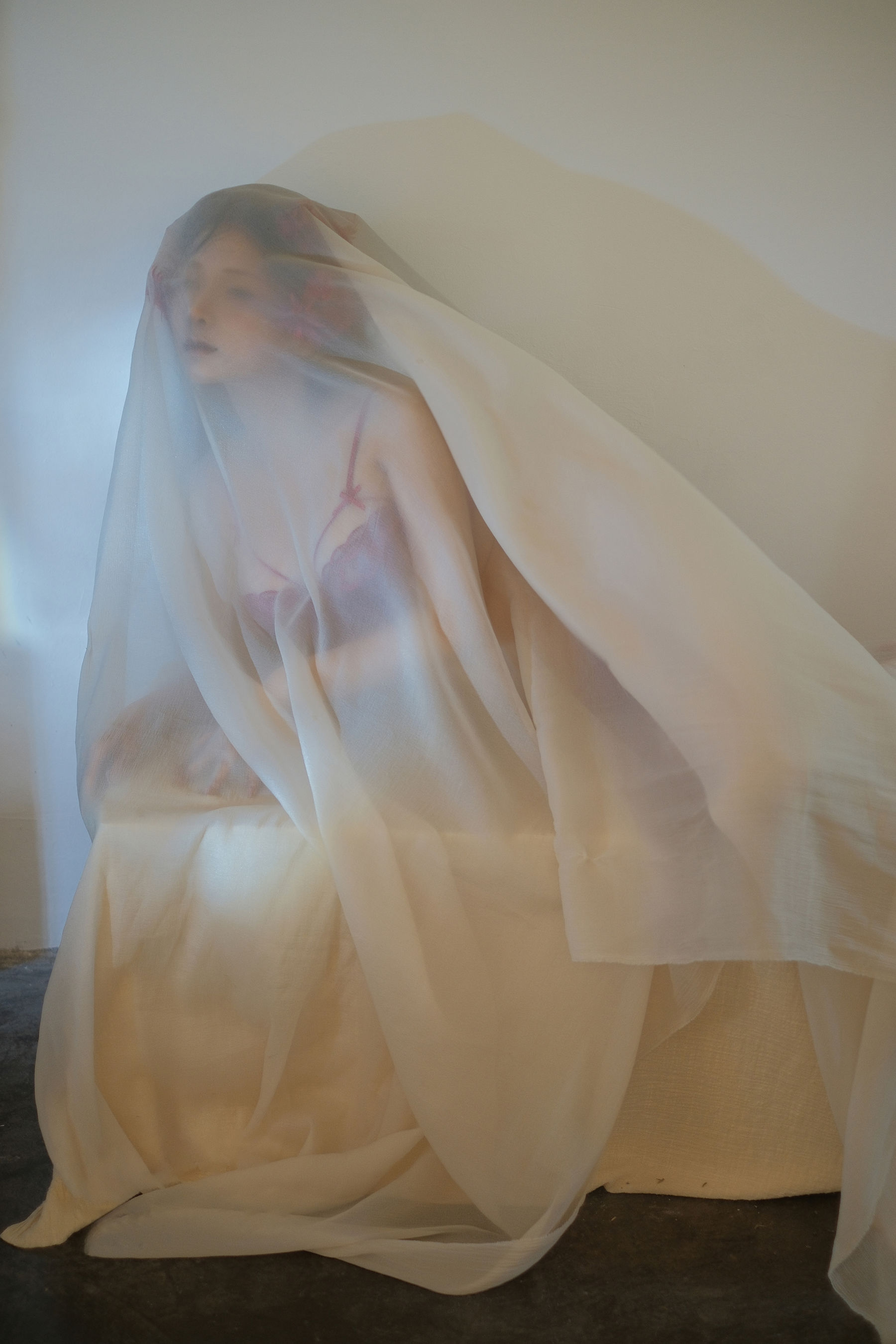 动漫博主蠢沫沫 - 红