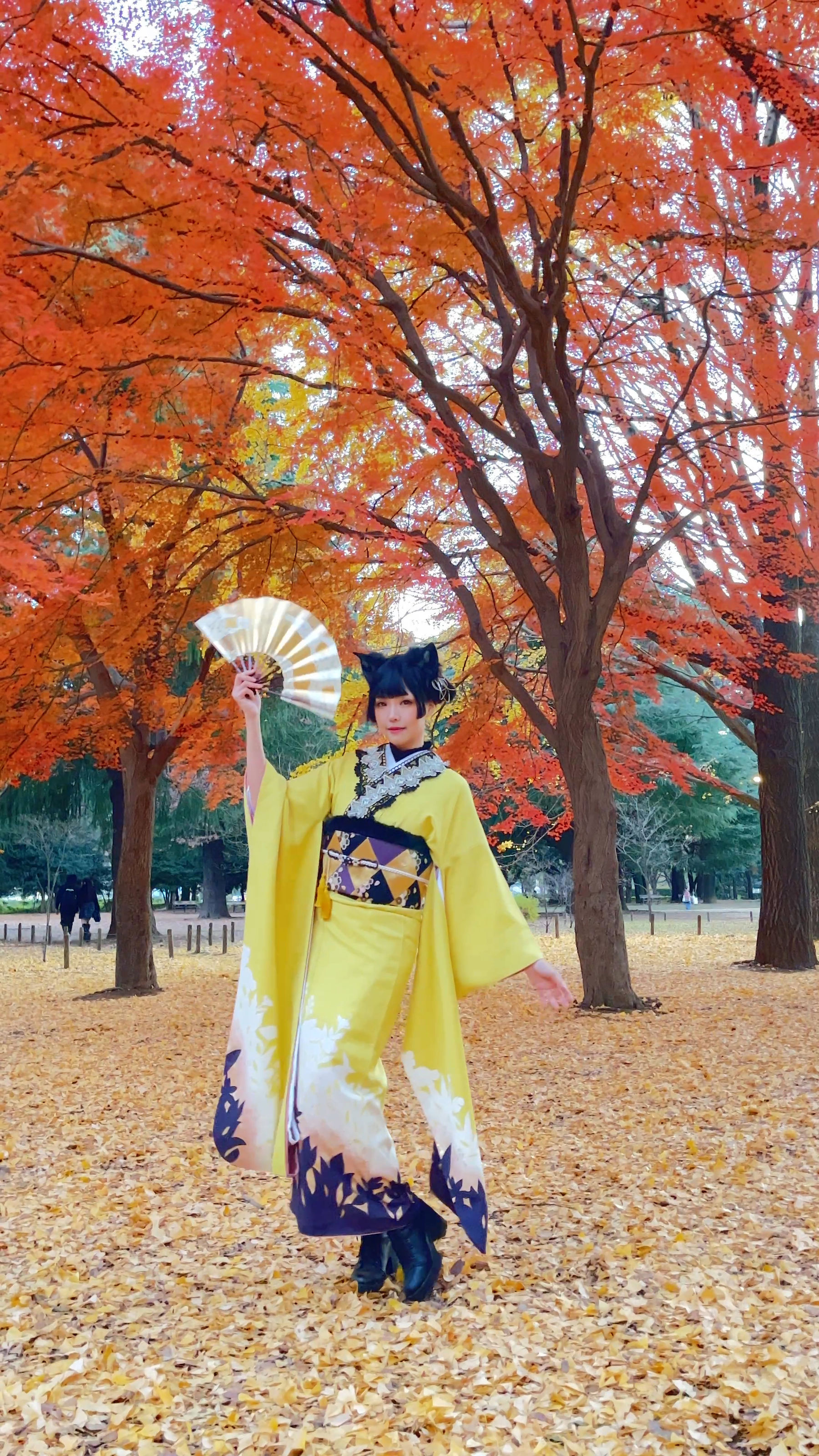 Ely_eee (ElyEE子) - Ginkgo Black Cat 銀杏黑貓