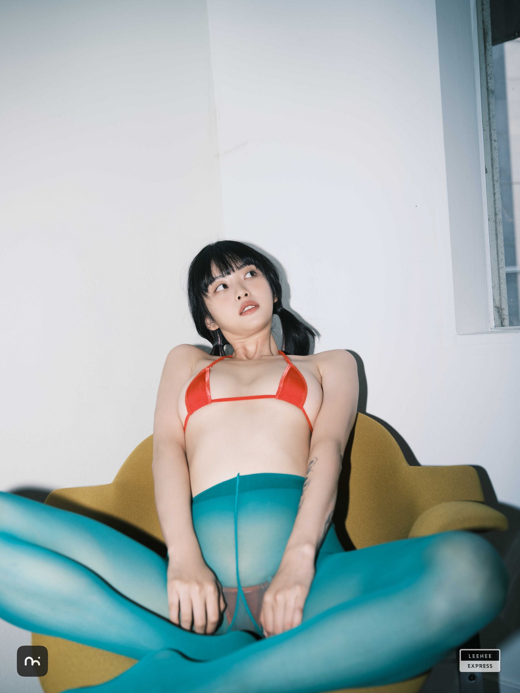 [LEEHEE EXPRESS] LEDG-195C - GMS