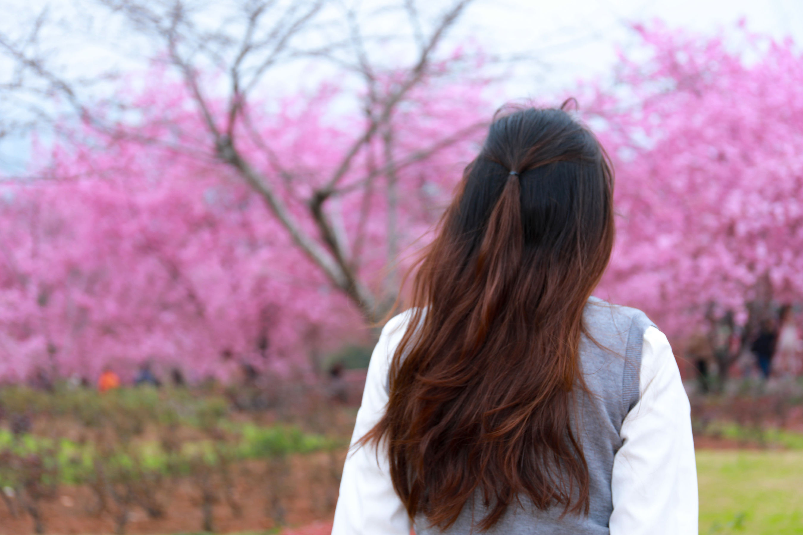 [MZSOCK]爱美足 No.273 小天