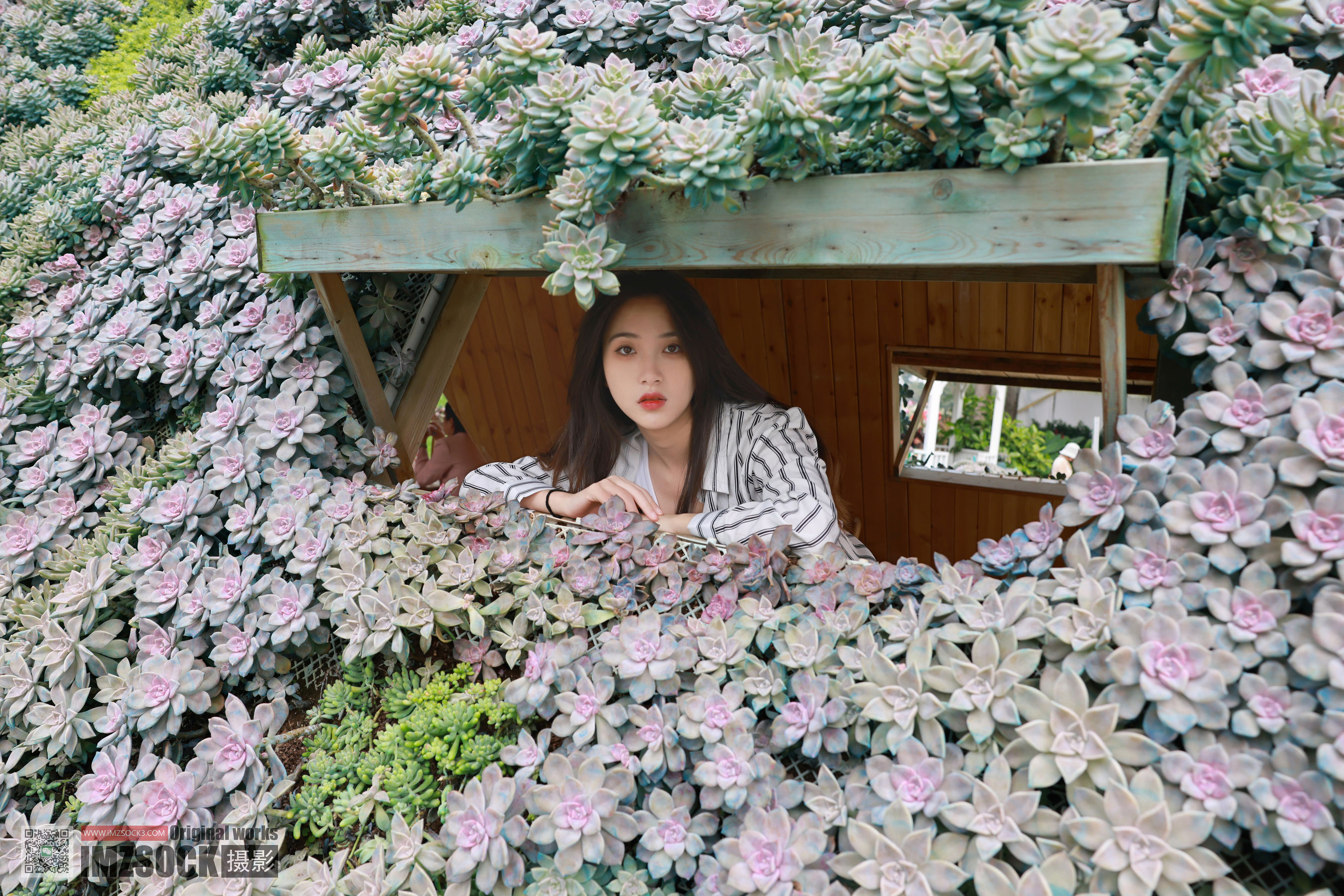 [MZSOCK]爱美足 No.252 迪佳