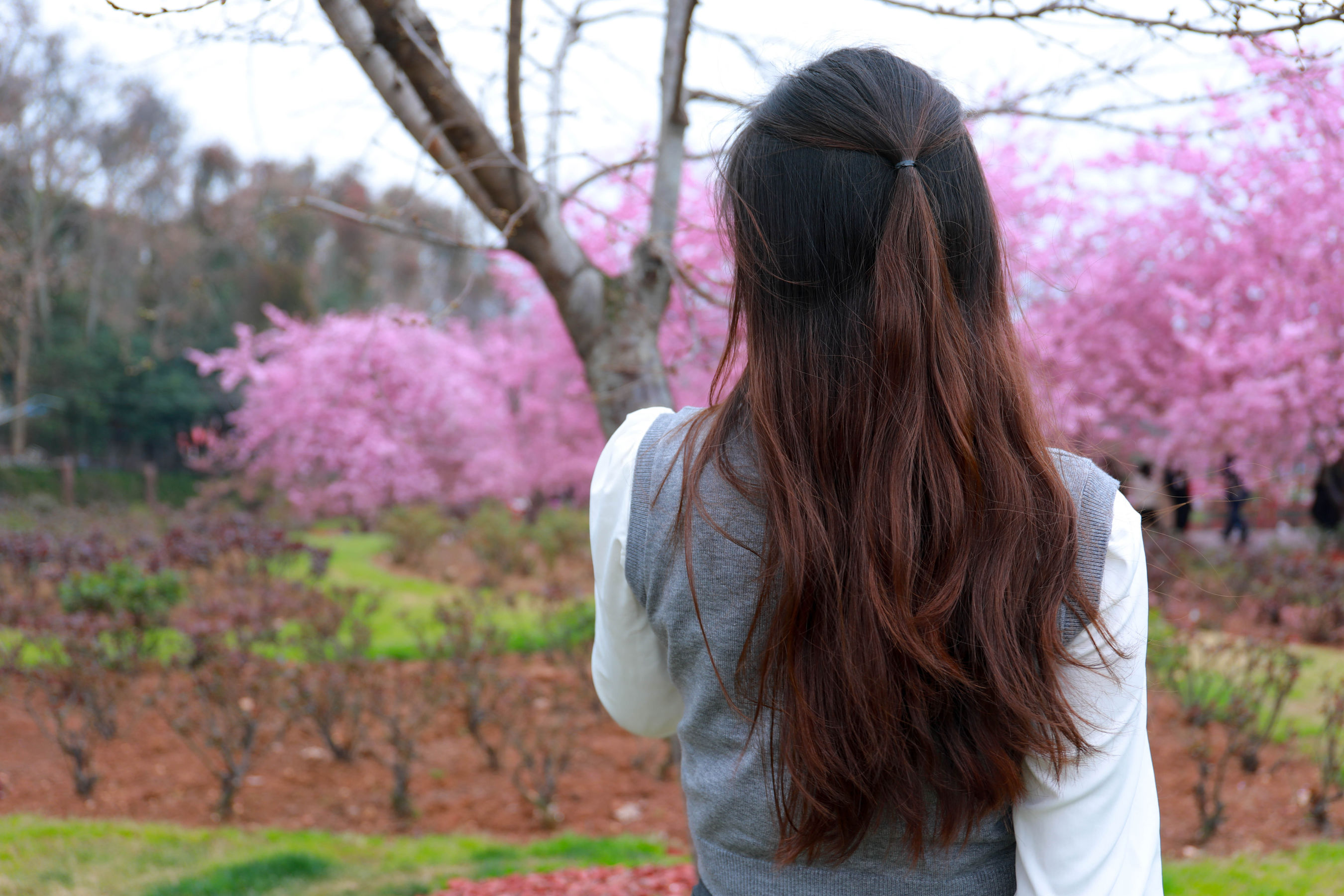 [MZSOCK]爱美足 No.273 小天