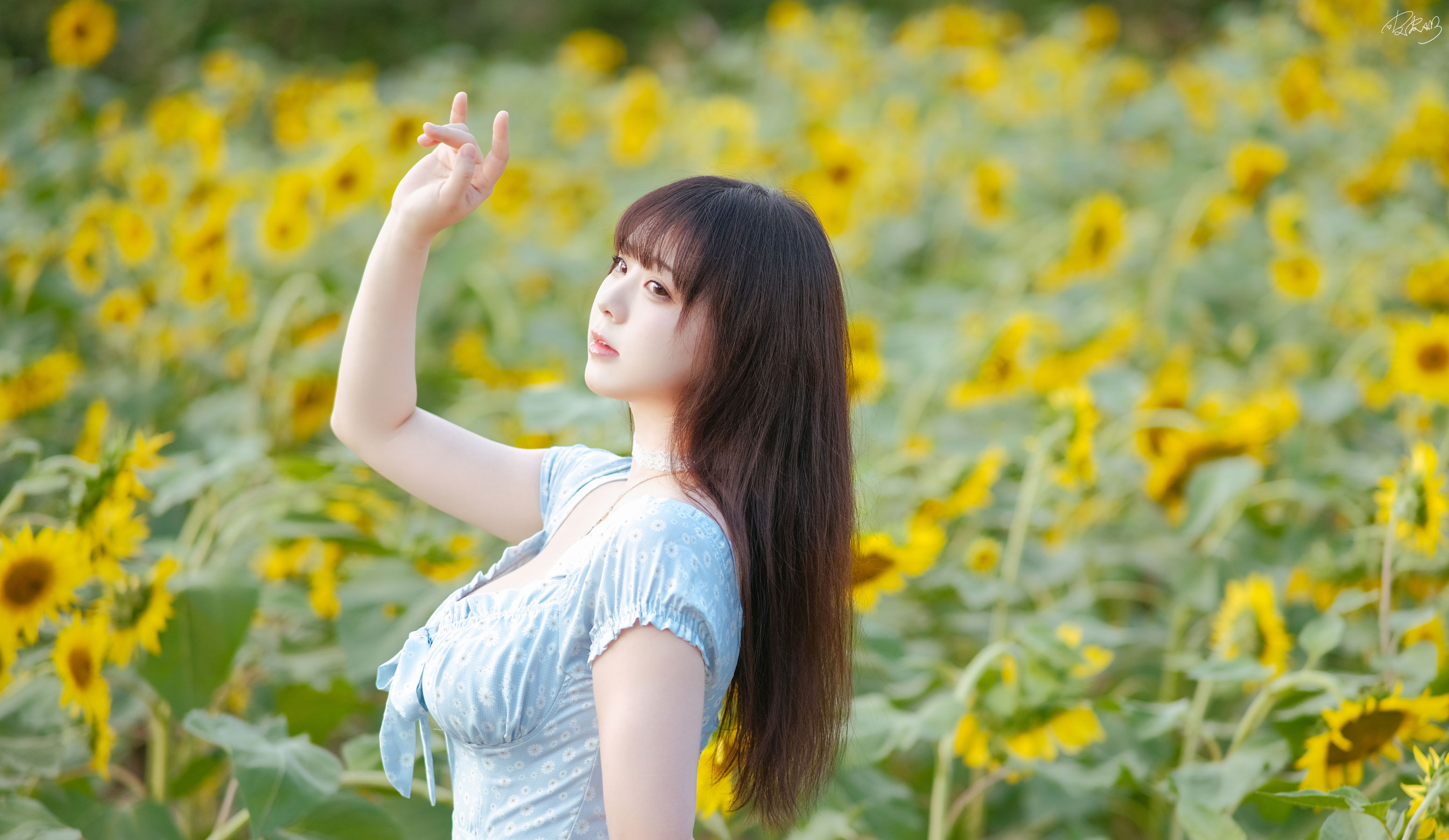 皮皮奶可可爱了啦 - 彼女向日葵