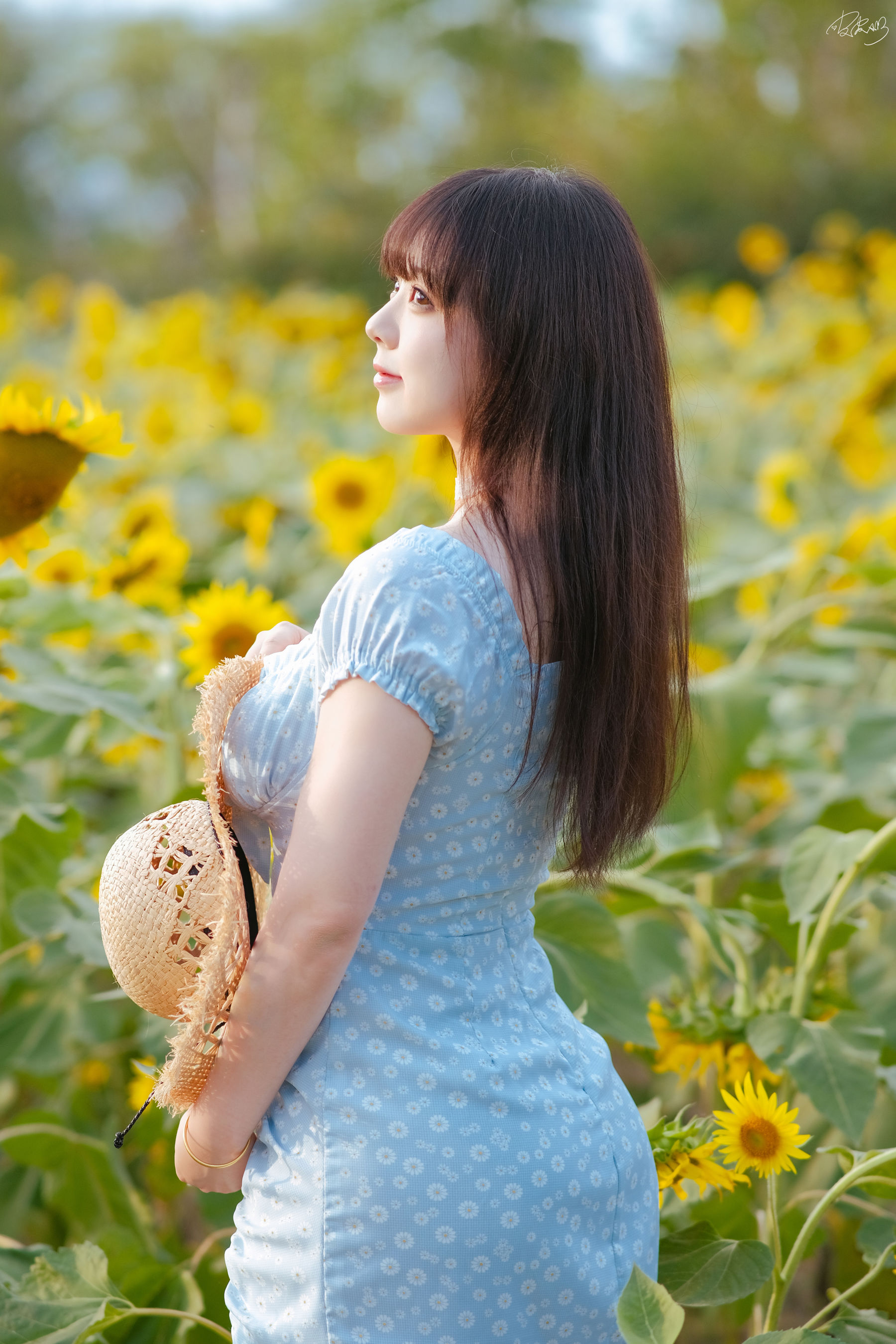 皮皮奶可可爱了啦 - 彼女向日葵