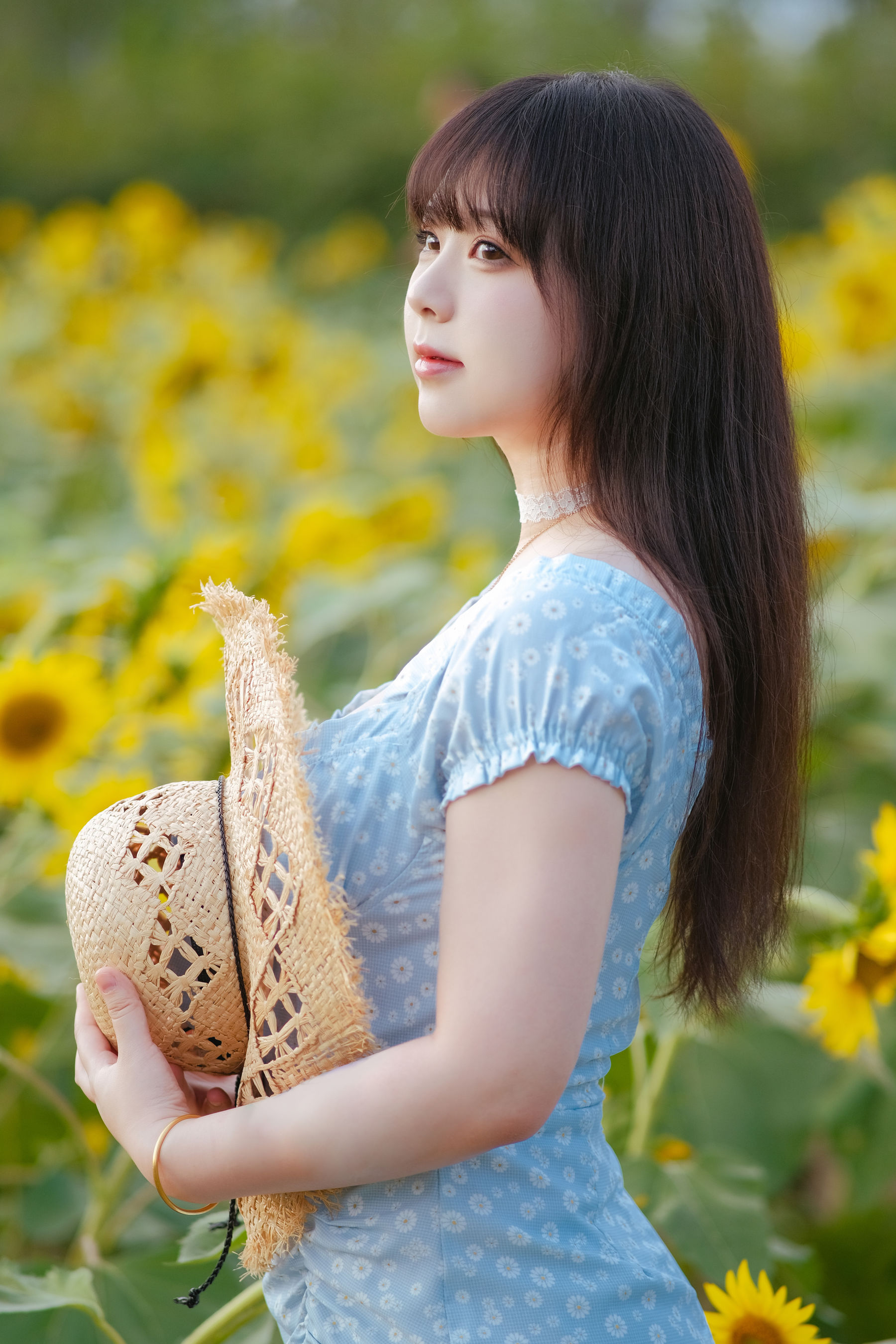 皮皮奶可可爱了啦 - 彼女向日葵