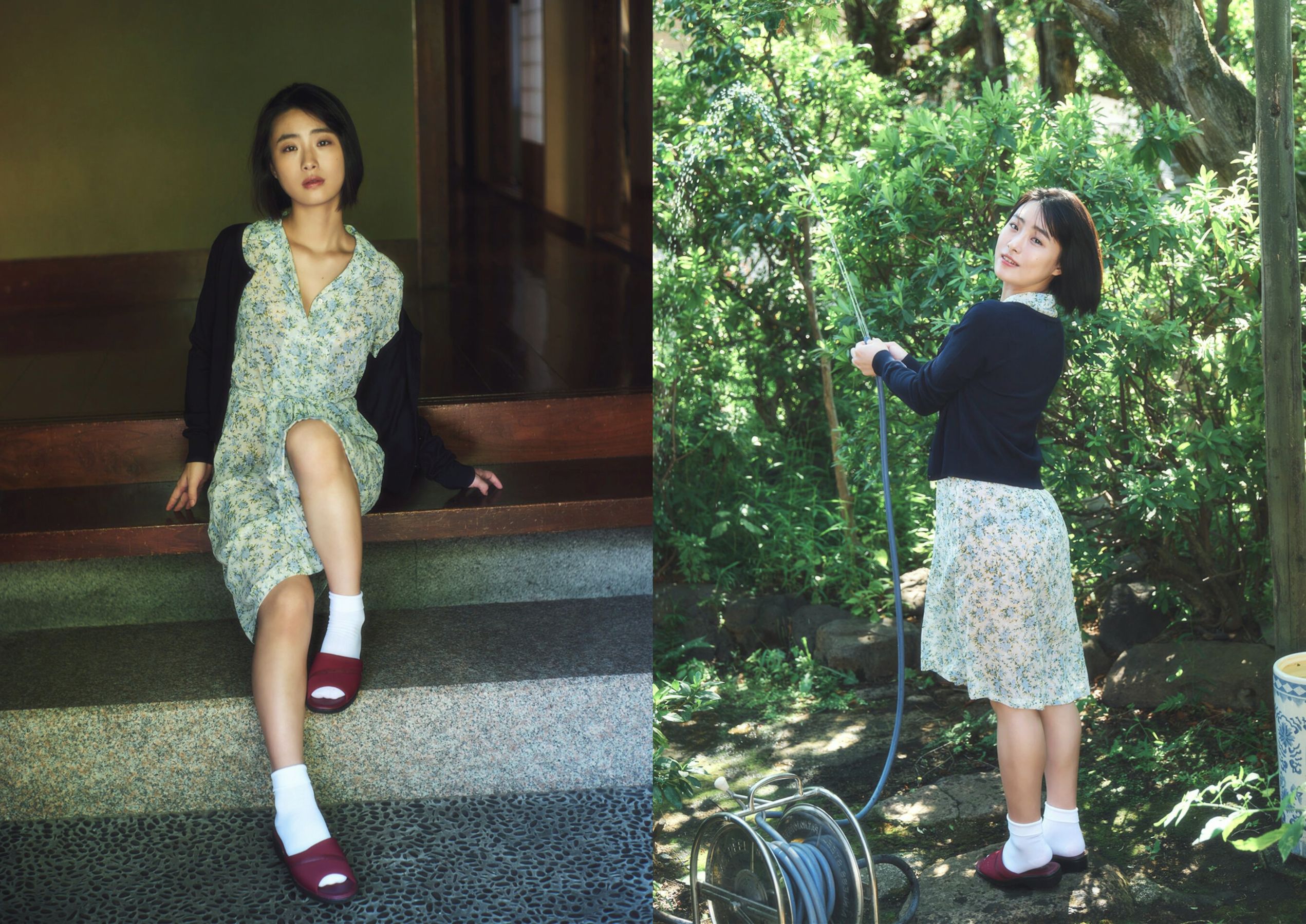 高砂ミドリ - pure deep