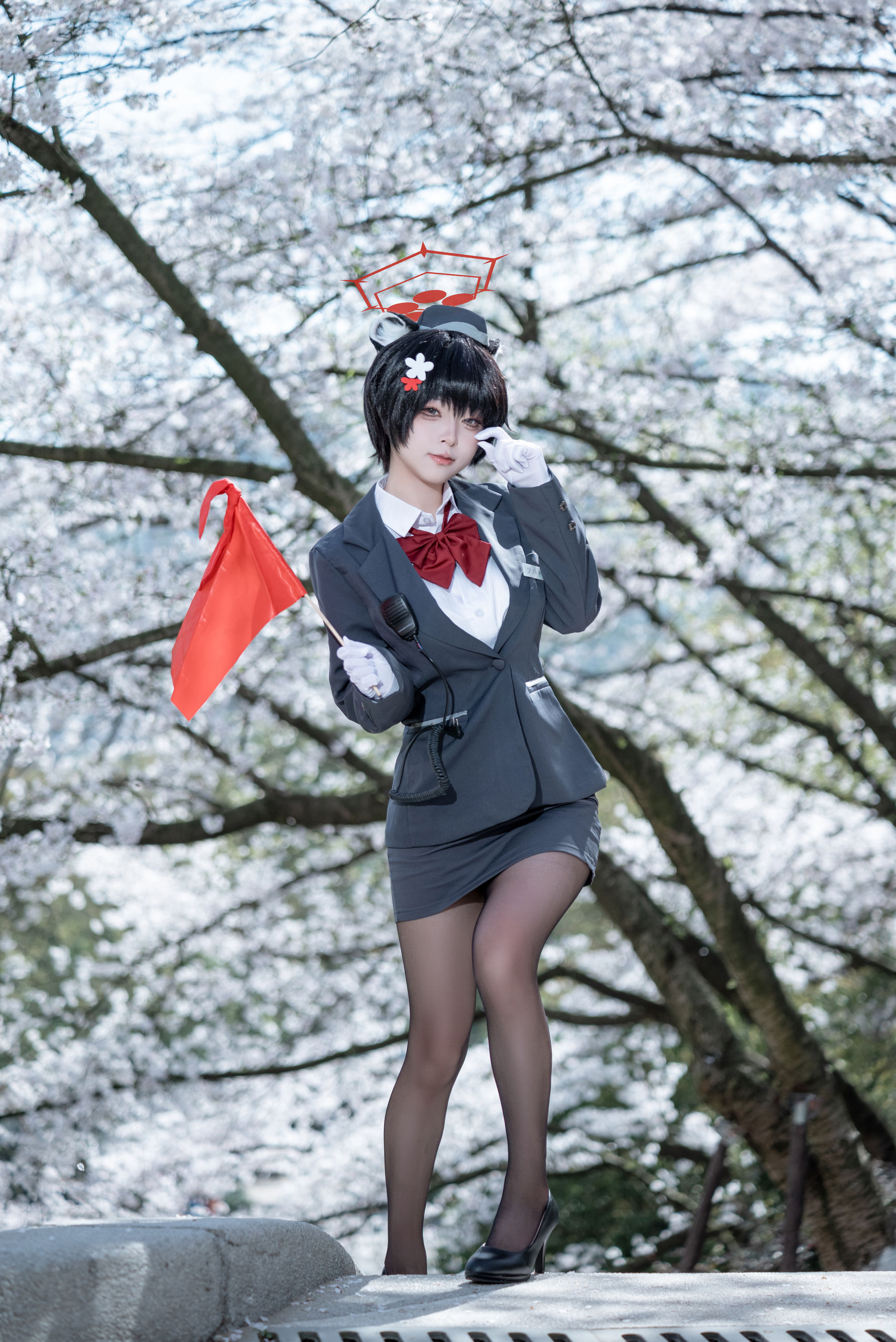 矢量鱼 - 椿导游