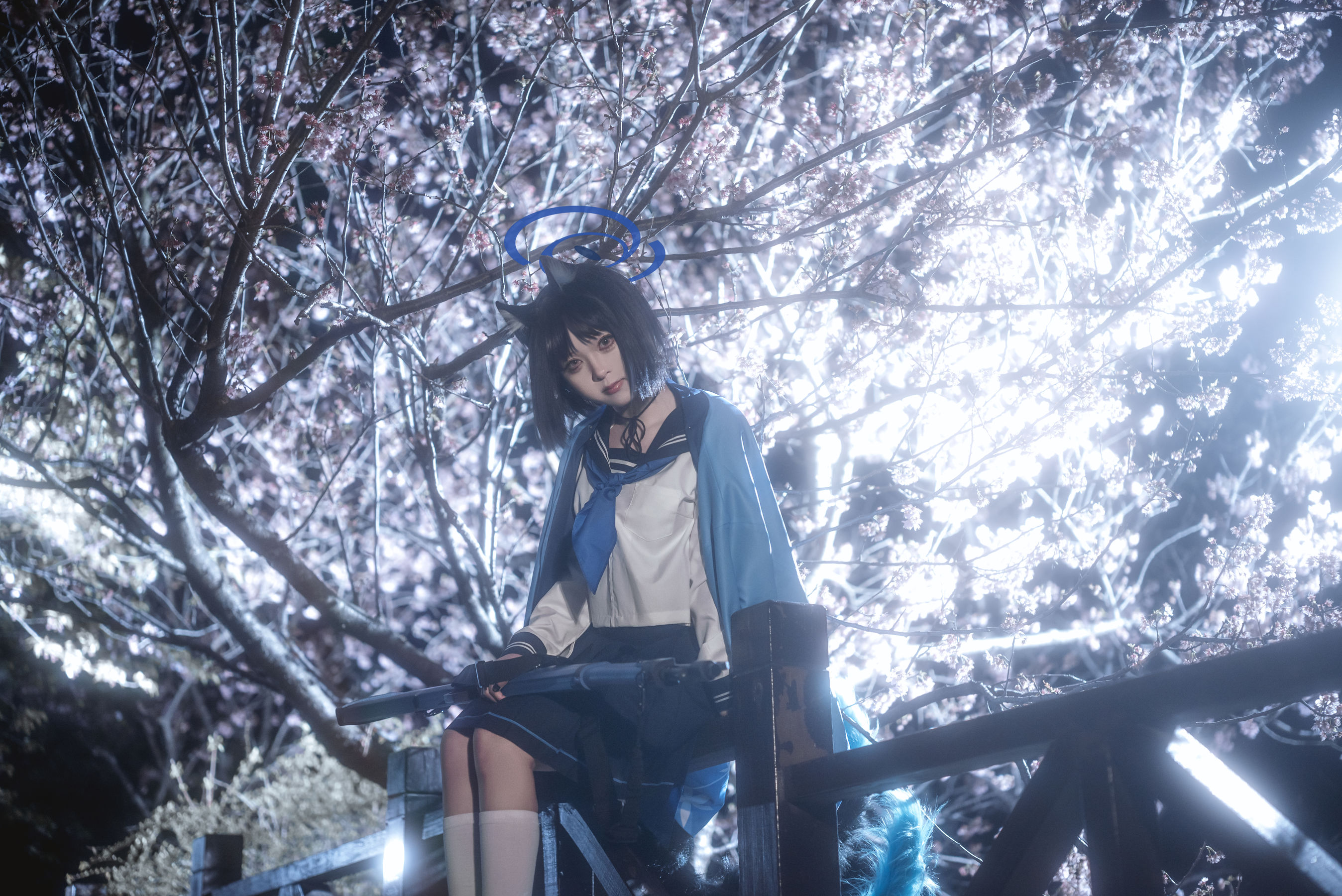 矢量鱼 - 桐生桔梗