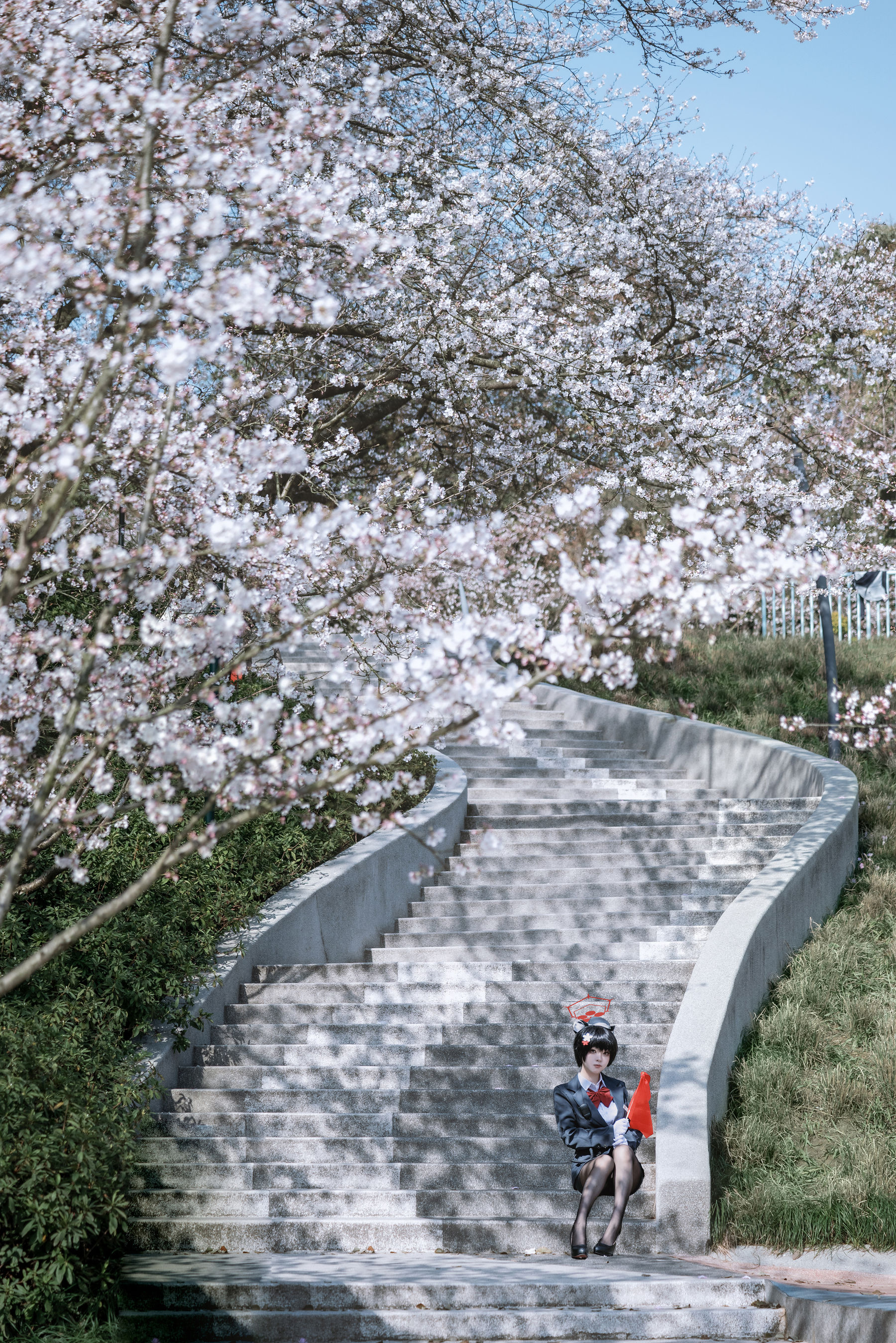 矢量鱼 - 椿导游