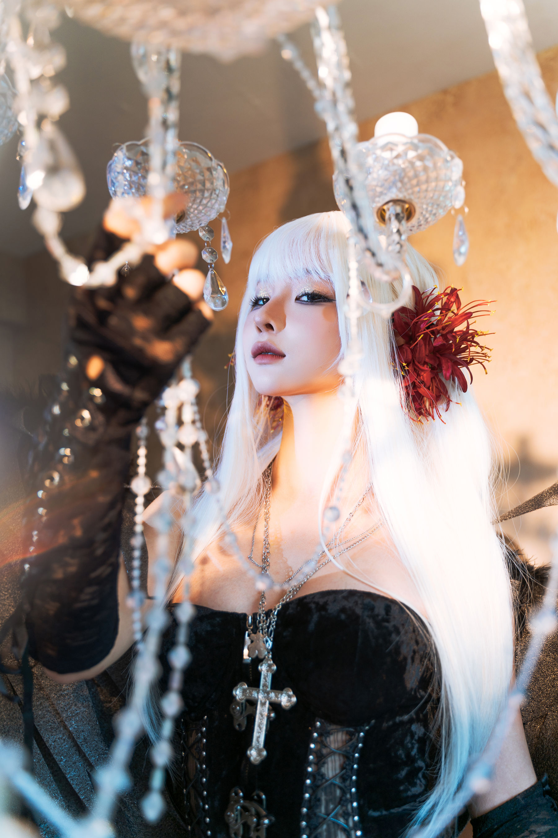 动漫博主 蠢沫沫 - 黑天鹅