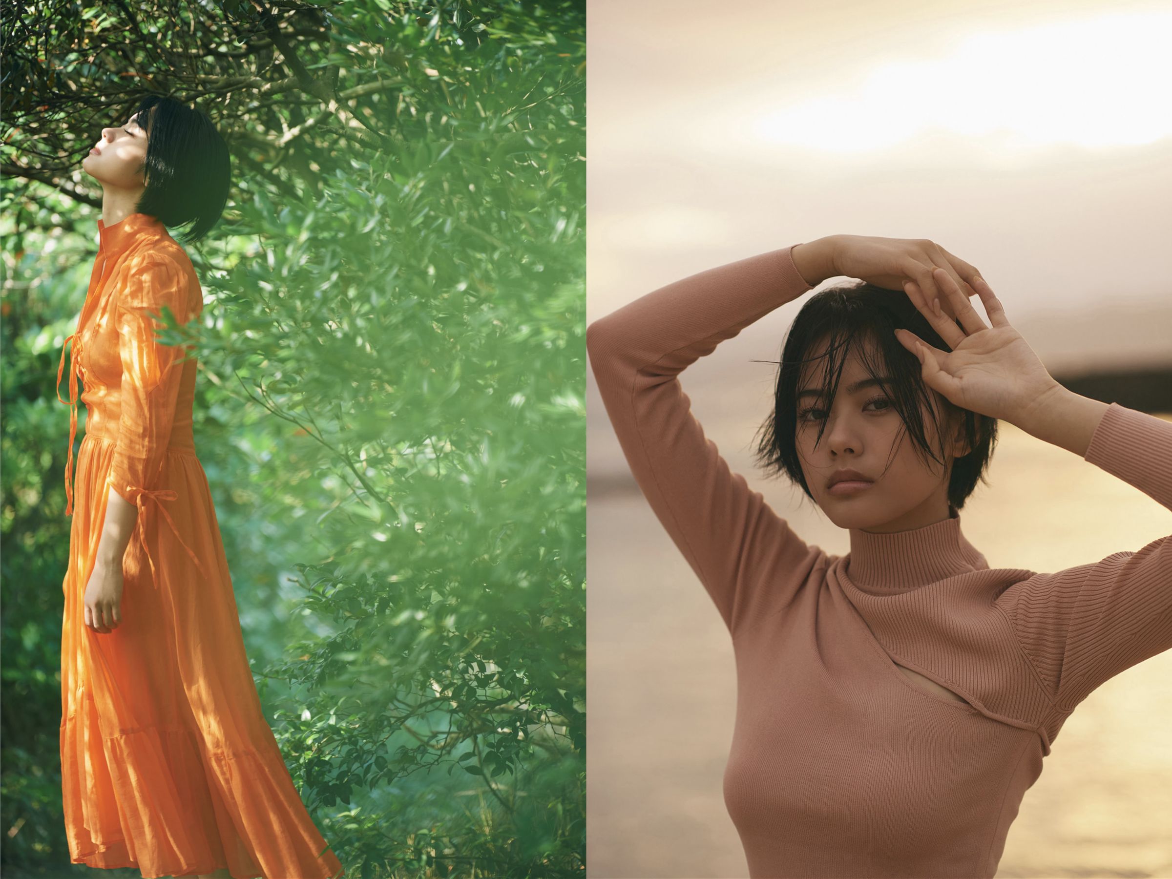 安斉星来 - Sirius