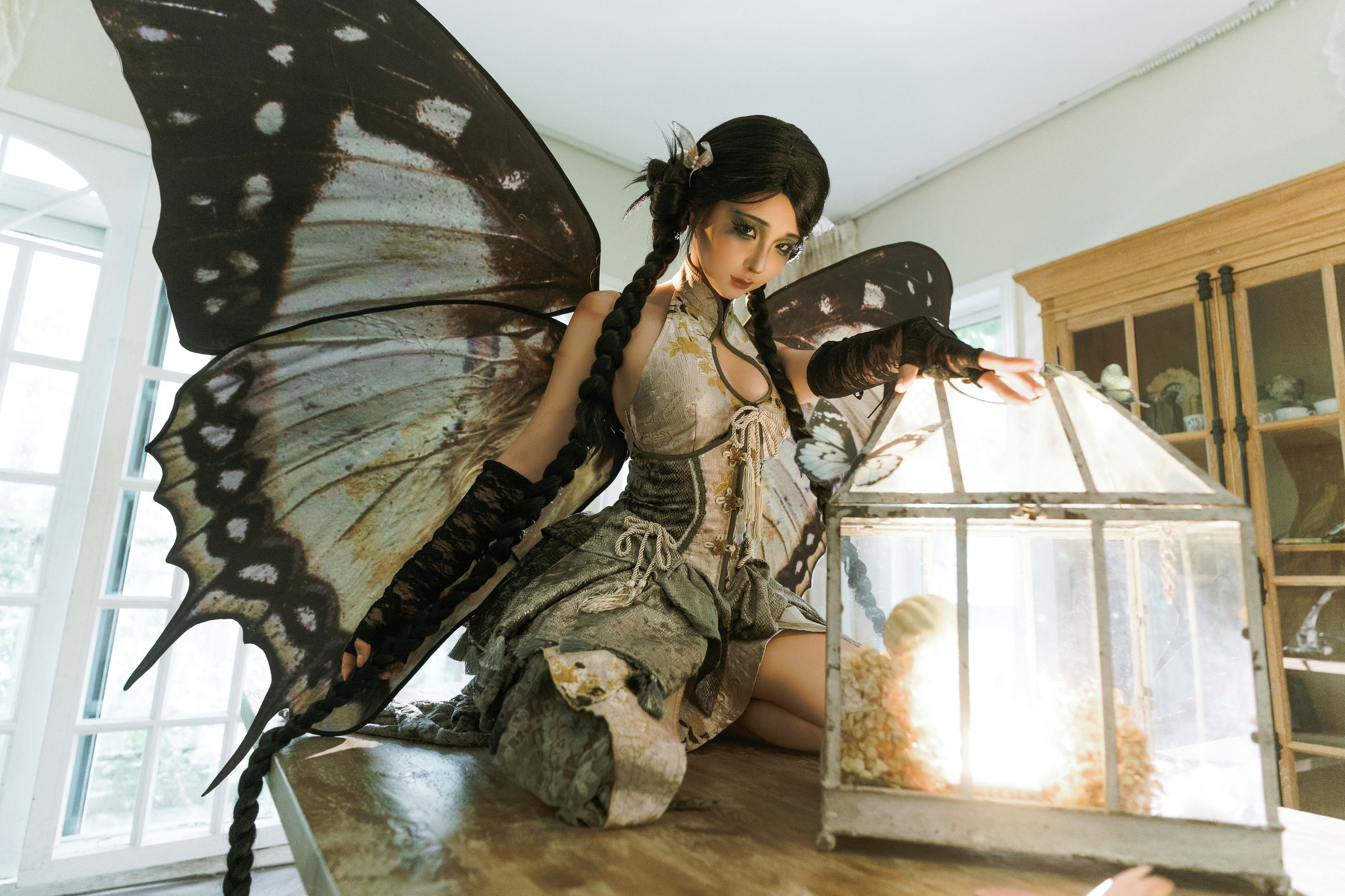 动漫博主蠢沫沫 - 枯叶蝶