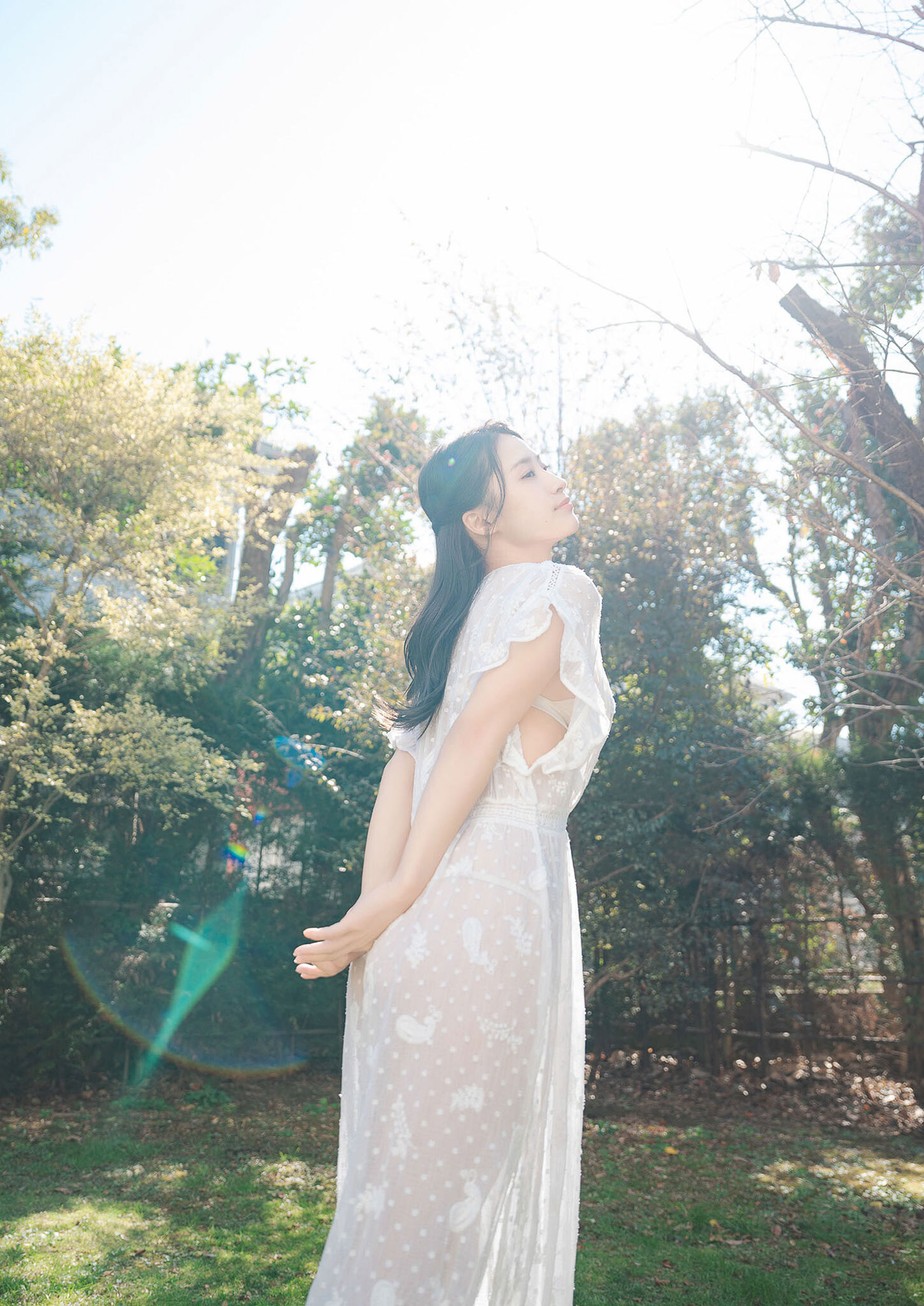 澄田綾乃 - 白昼夢