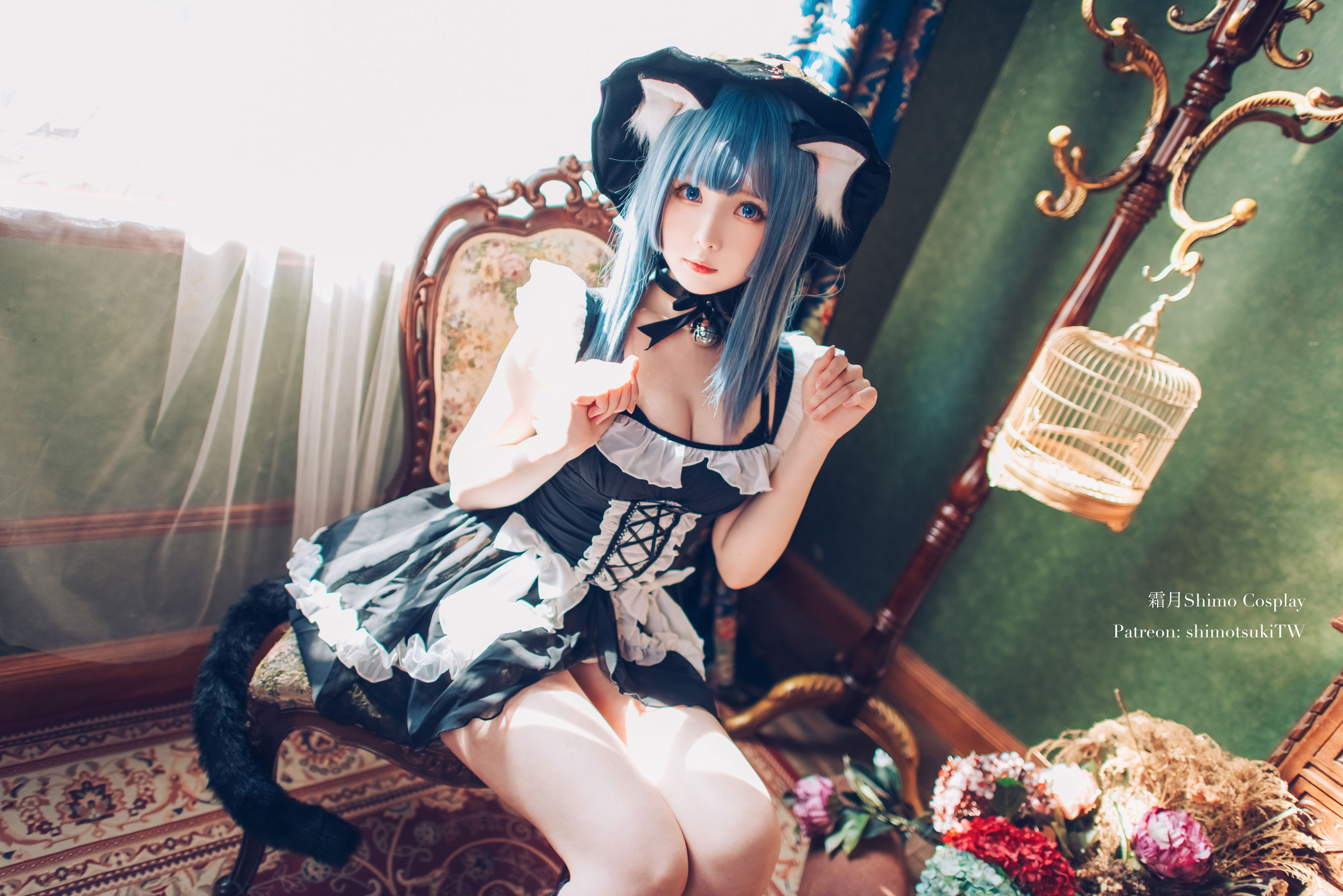 微博妹纸霜月shimo - Original Cat Witch
