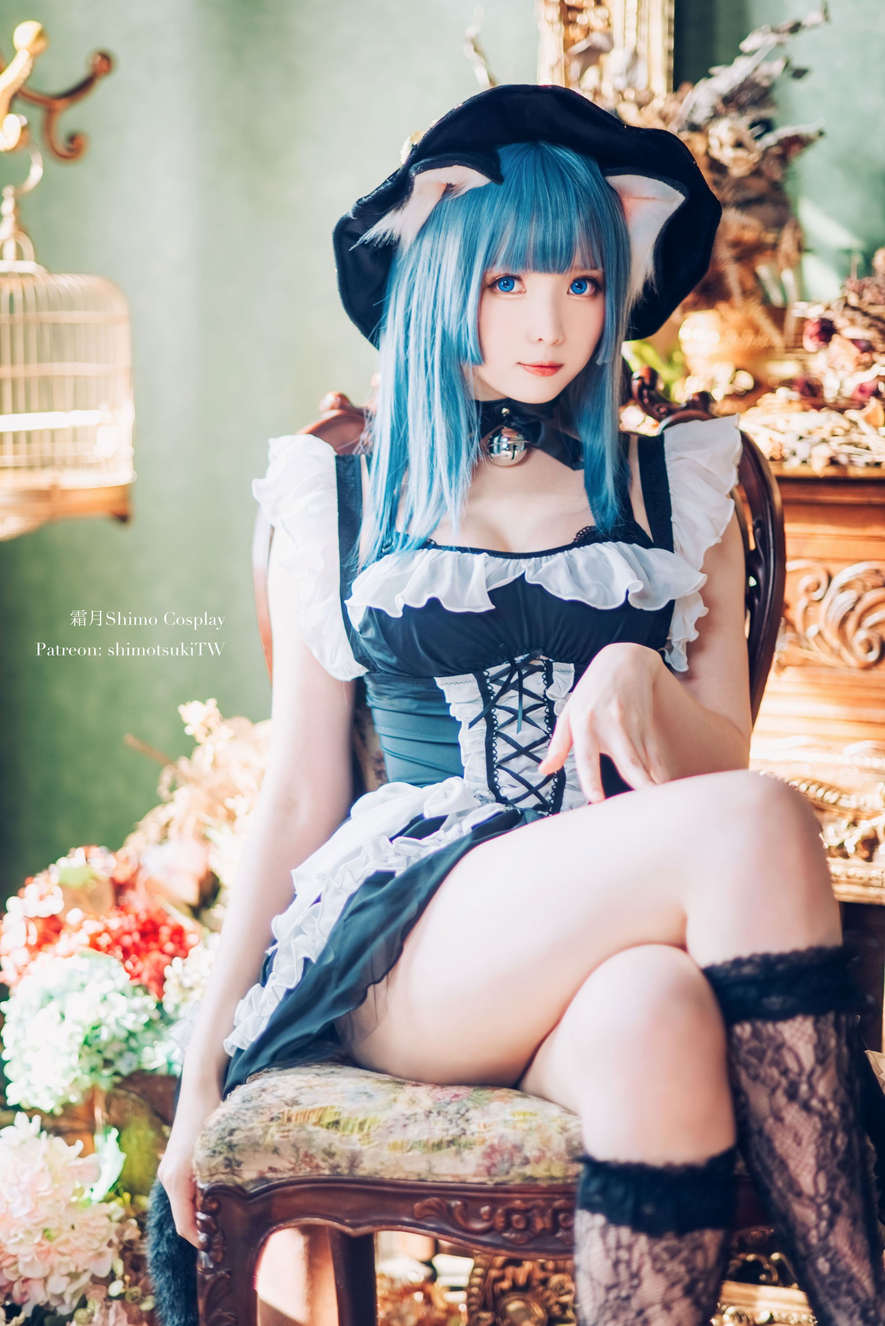 微博妹纸霜月shimo - Original Cat Witch