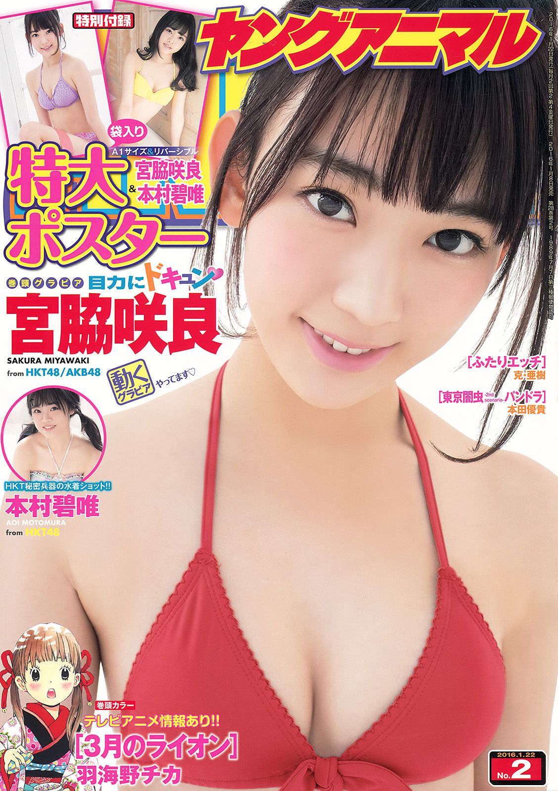 宮脇咲良 本村碧唯 [Young Animal] 2016年No.02 写真杂志