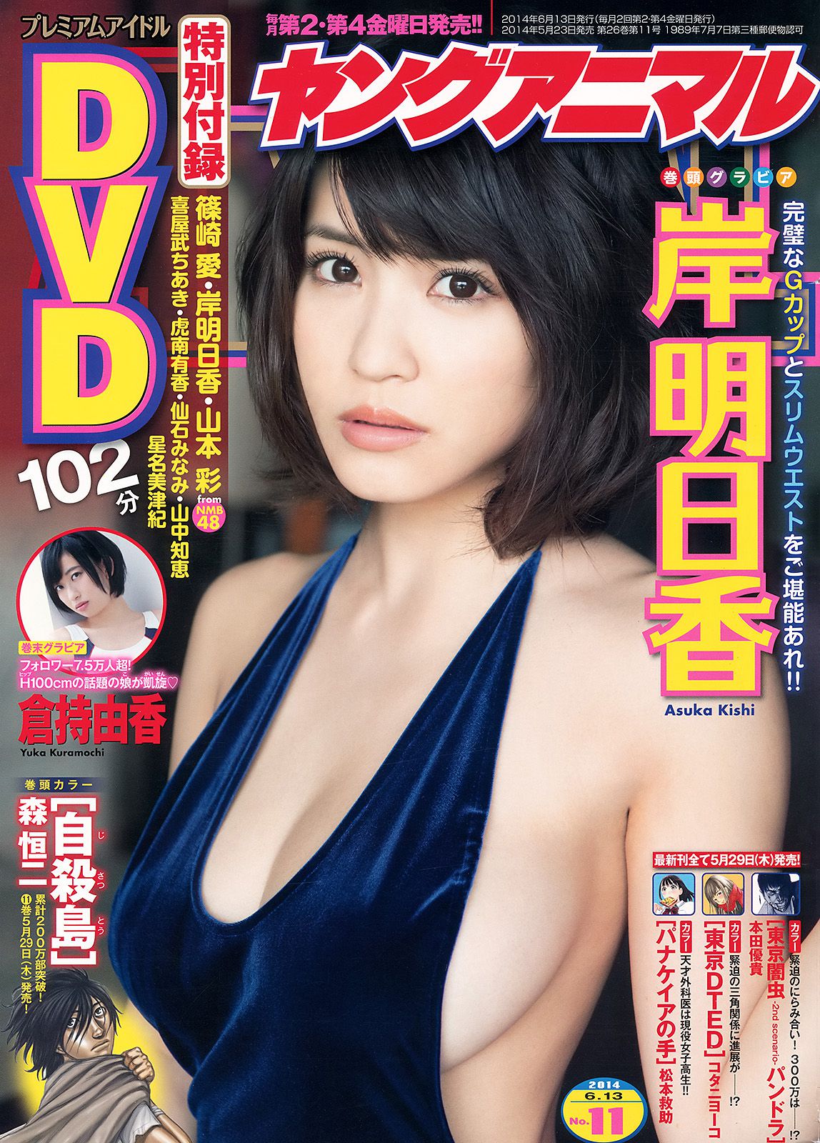 岸明日香 倉持由香 [Young Animal] 2014年No.11 写真杂志