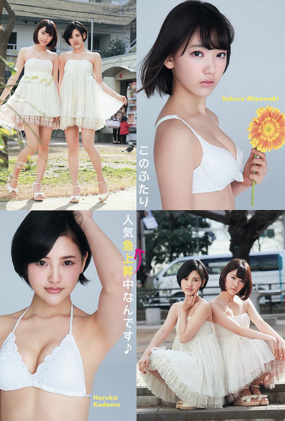 宮脇咲良 兒玉遥 朝長美桜 松岡菜摘 穴井千尋 [Young Animal] 2015年No.10 写真杂志