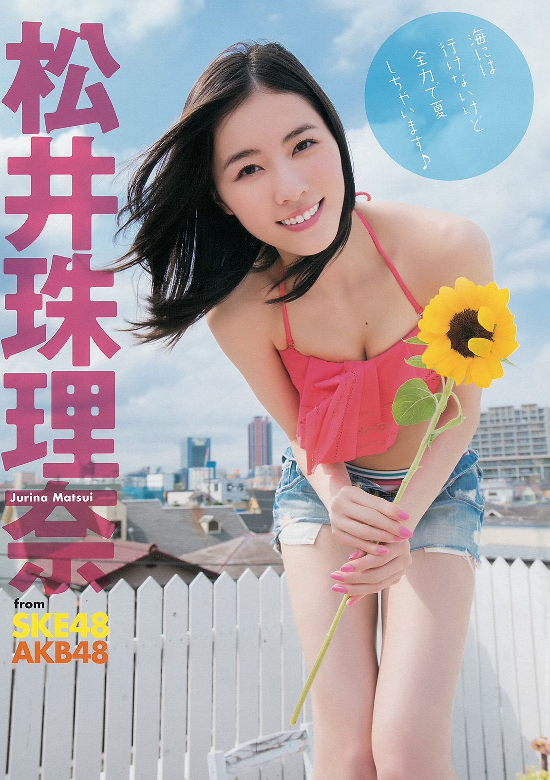 松井珠理奈 二村春香 竹内舞 古畑奈和 松村香織 [Young Animal] 2014年No.16 写真杂志