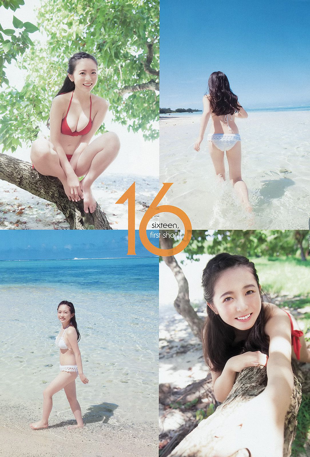 中野佑美 小瀬田麻由 [Young Animal] 2014年No.24 写真杂志