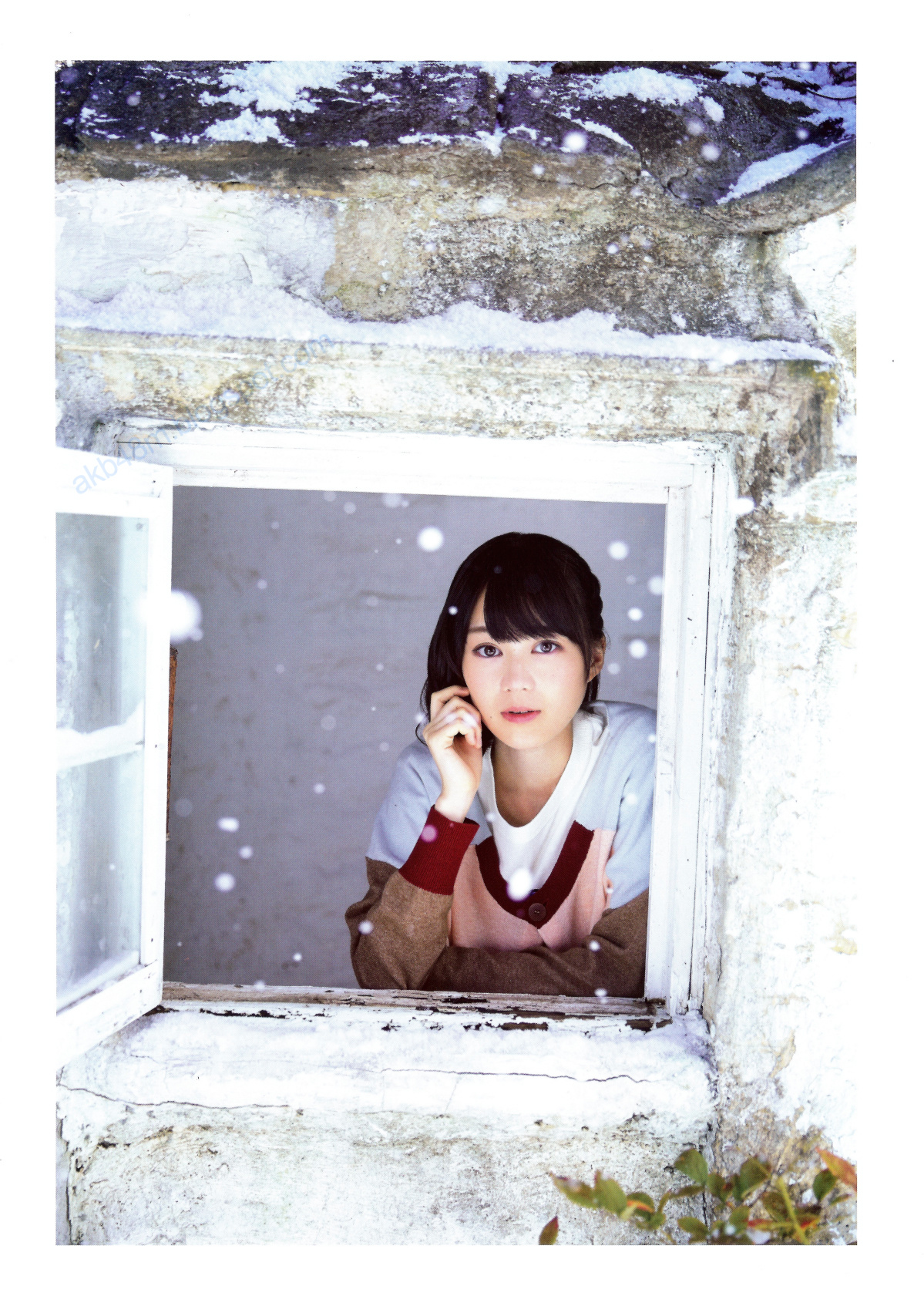 乃木坂46 《Winter 彩冬》 [PB 季刊 